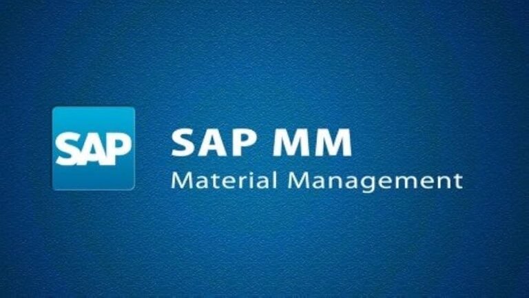 TEMEL TEDARİK YÖNETİMİ VE SAP MM MODÜLÜ